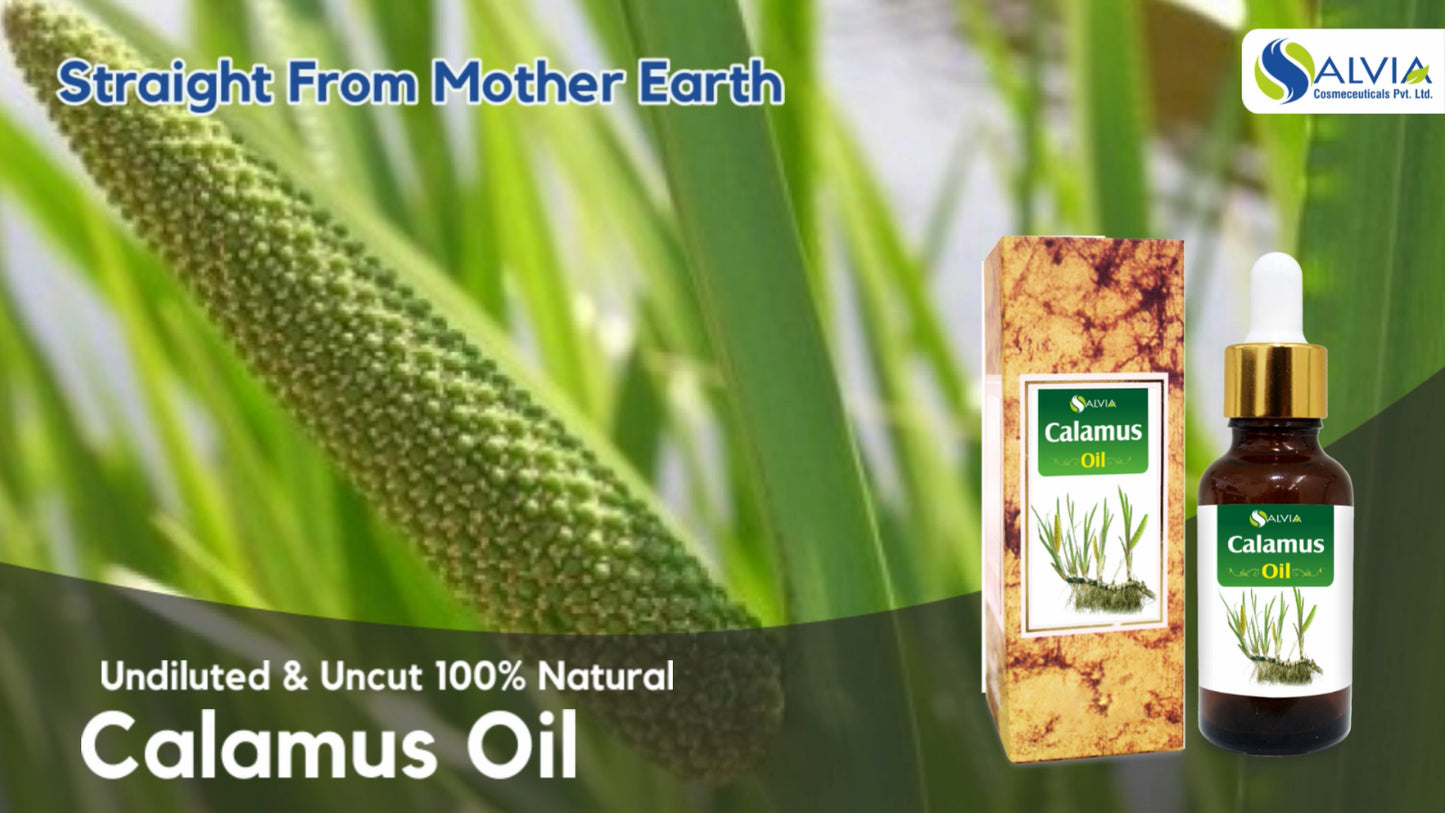 Calamus (Acorus Calamus) - 100% Pure & Natural Essential Oil - [10Ml - 25 L].