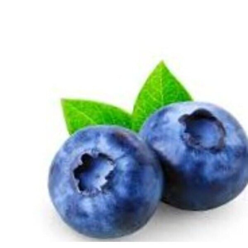 Pure Blueberry Seed Oil 30Ml. Cold Pressed.