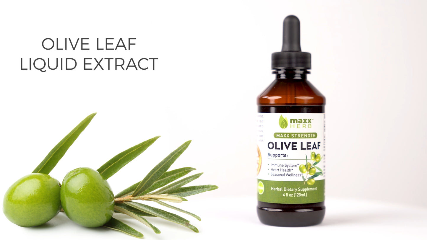 Olive Leaf Extract Liquid Tincture for Heart & Immune Support, 4Oz