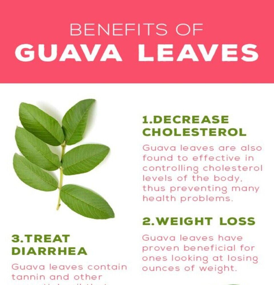 Guava Leave Capsules(600Mg