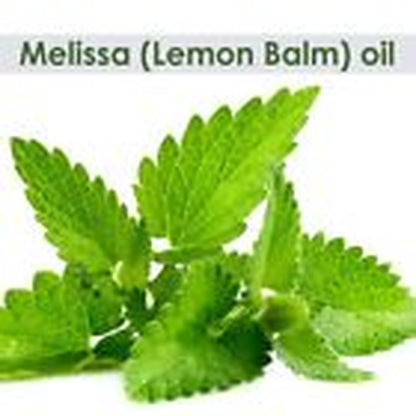 Melissa (Melissa Officinalis) 100% Pure & Natural Essential Oil - [10Ml - 25 L].