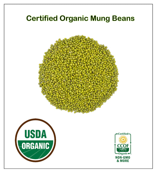 Organic Whole Mung Beans 'Moong'  Non GMO (Sproutable)