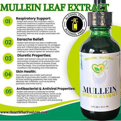 Mullein Leaf Non-Alcohol Extract Natural Liquid Drops 2 OZ Bottle Lungs Breath