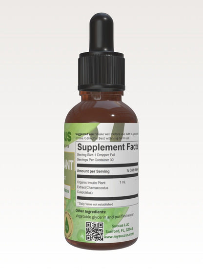 Insulin Plant Tincture (High Quality) -Alcohol Free