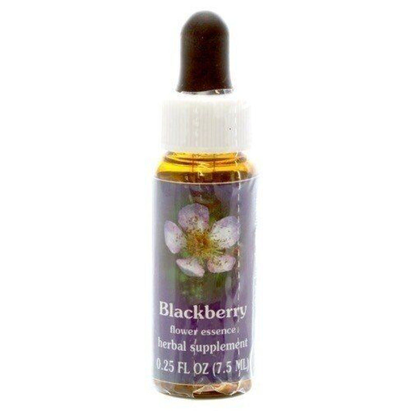 Flower Essence Services Blackberry Dropper 0.25 Oz Liquid