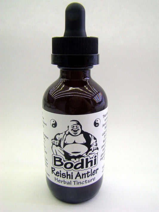 Reishi Antler Tincture (G. Multipileum) - Made from Whole Fruits Grown in USA!