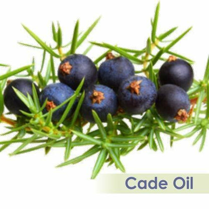 Cade (Juniperus Oxycedrus) 100% Pure & Natural Essential Oil - [10Ml - 25 L].