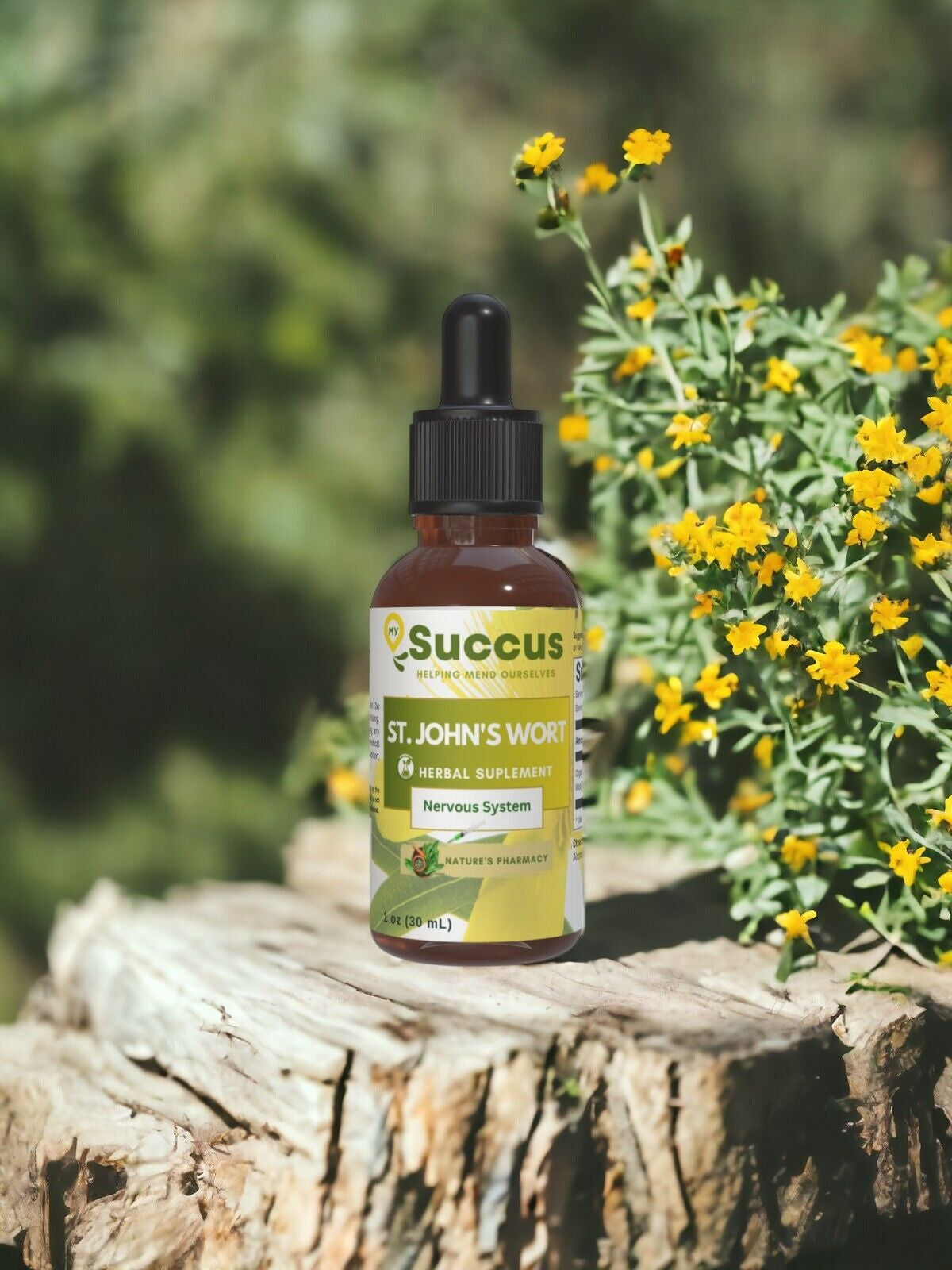 St. John'S Wort Tincture - (Mood Support)