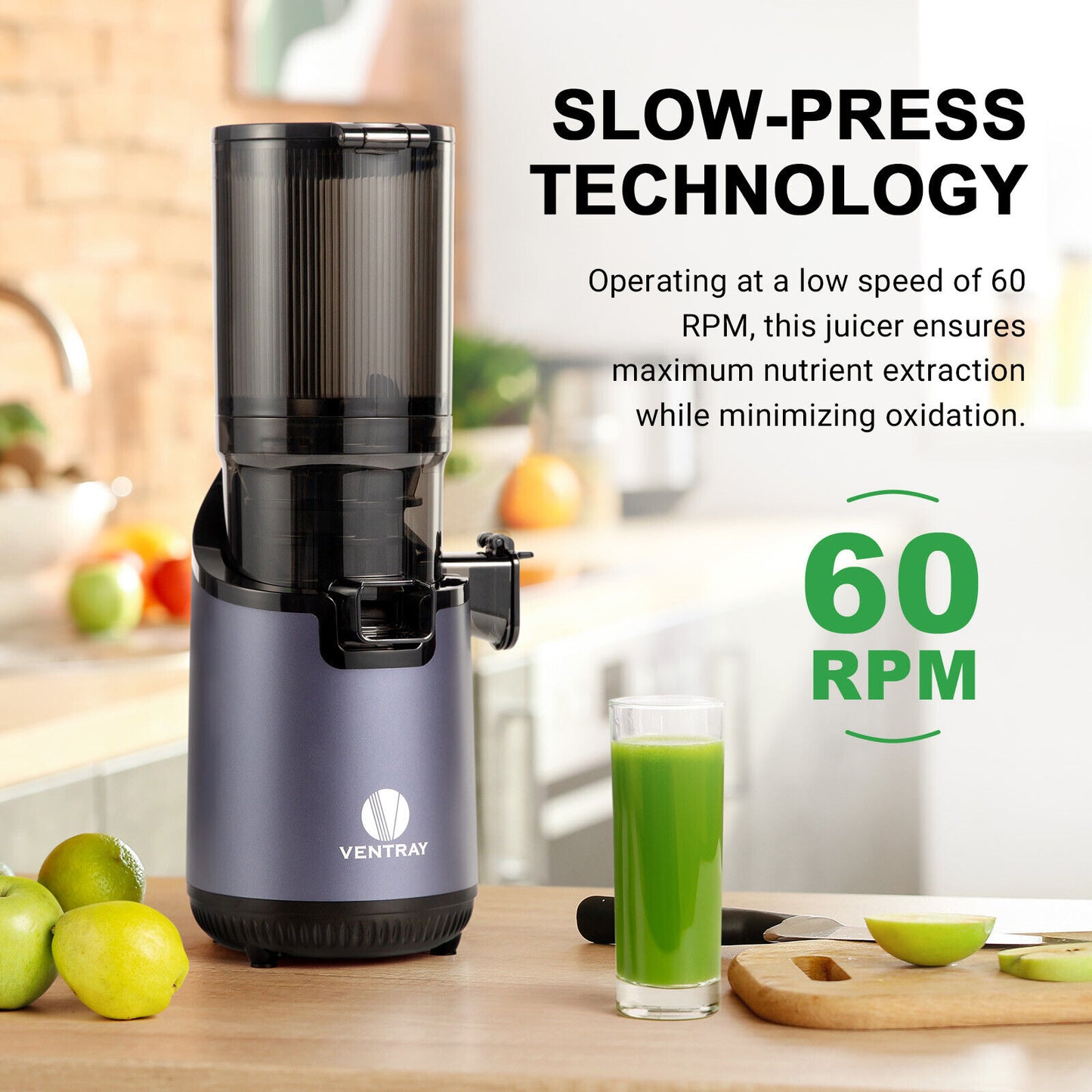 Ventray Slow Masticating Juicer Cold Press Juicer Electric Slow Juicer Machine