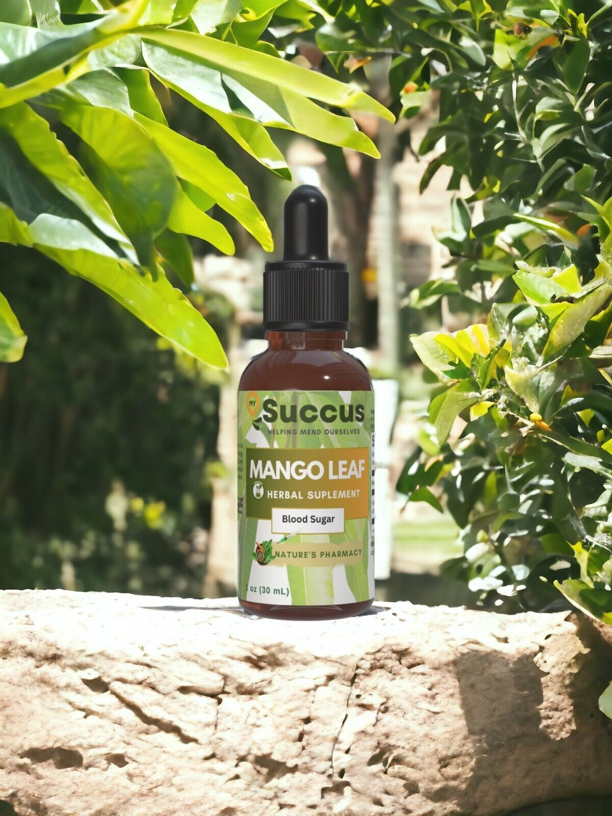 Mango Leaf Tincture - Blood Sugar