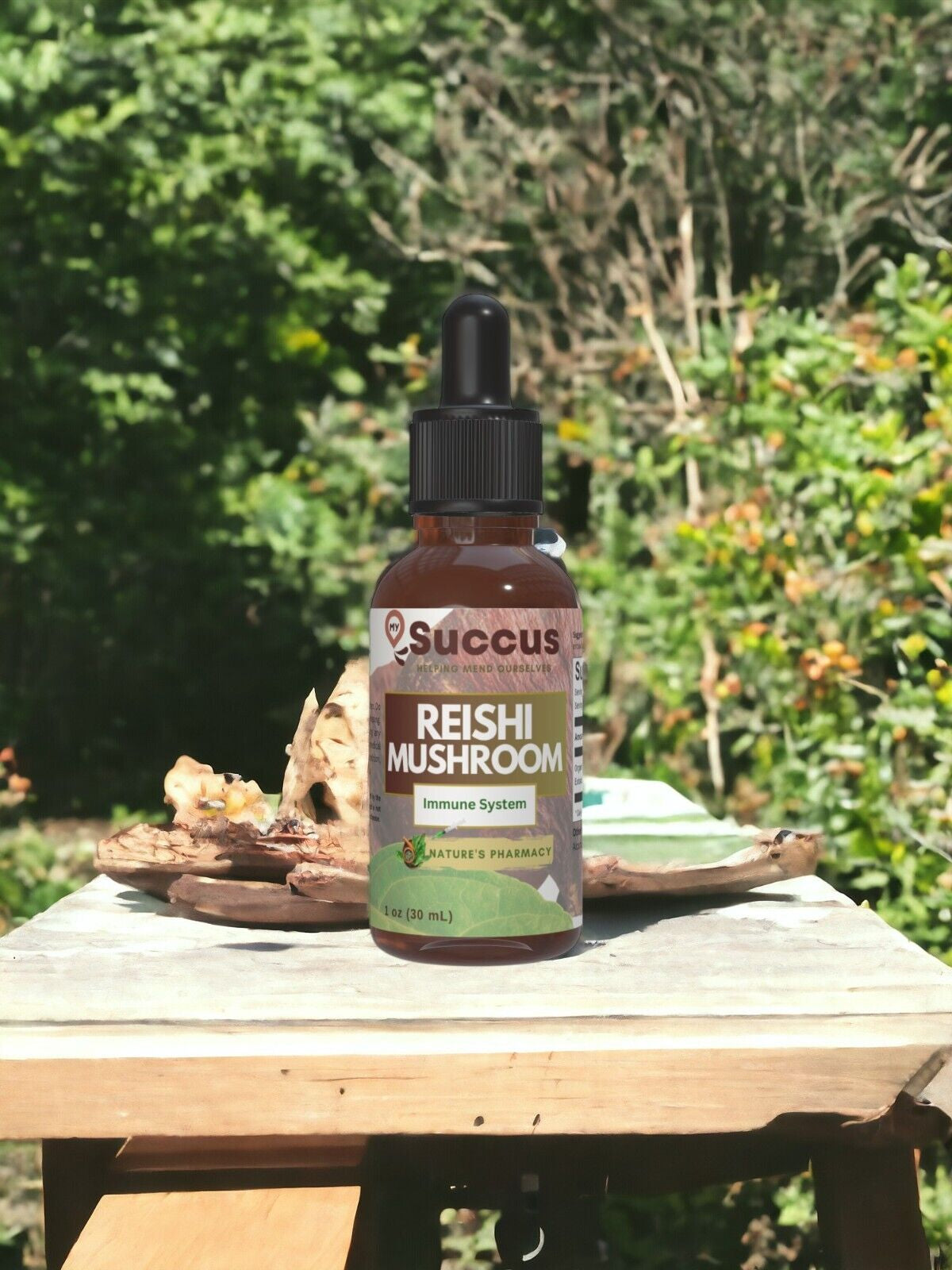 Reishi Mushroom Tincture - (Immune System)