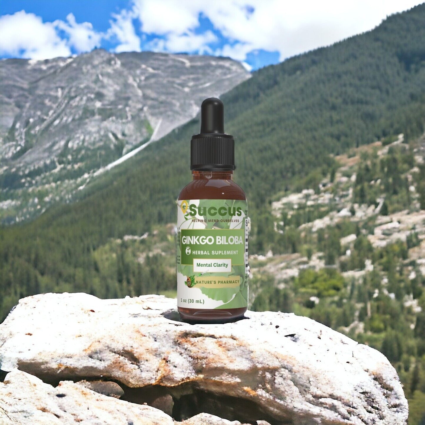 Ginkgo Biloba Tincture - Memory & Focus