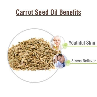 Carrot Seed (Daucus Carota L) 100% Pure & Natural Essential Oil - [10Ml-5000Ml]