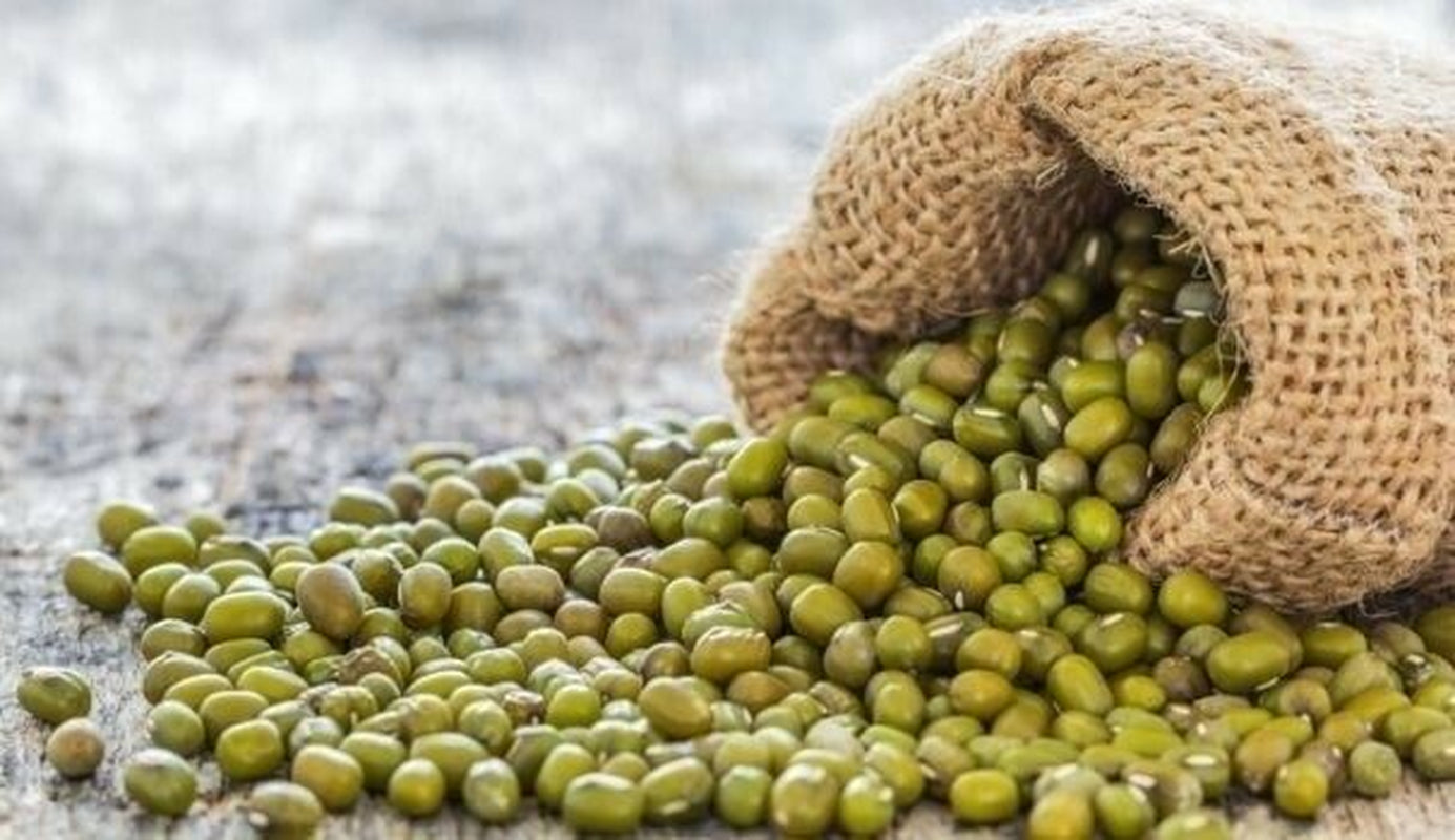 Organic Whole Mung Beans 'Moong'  Non GMO (Sproutable)