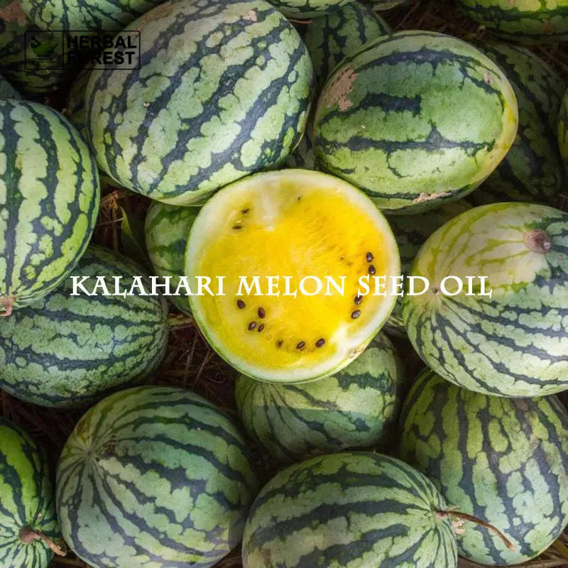 Kalahari Melon Seed Oil Carrier Oil Antioxidant Moisturizing Dilutes Fine Lines Acne Unclogs Pores Facial Body Massage Oil