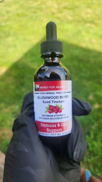 Blushwood Berry EBC46 Tincture/Immun