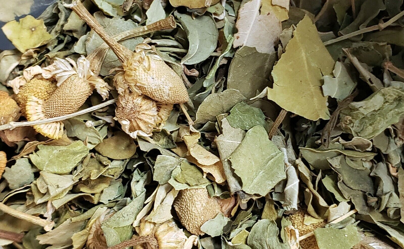 Moringa Loose Leaf Tea - Variety of Flavors!