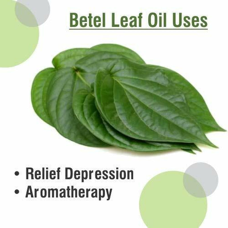 Betel Leaf (Piper Betle) 100% Pure & Natural Oil - {10Ml - 25 L}