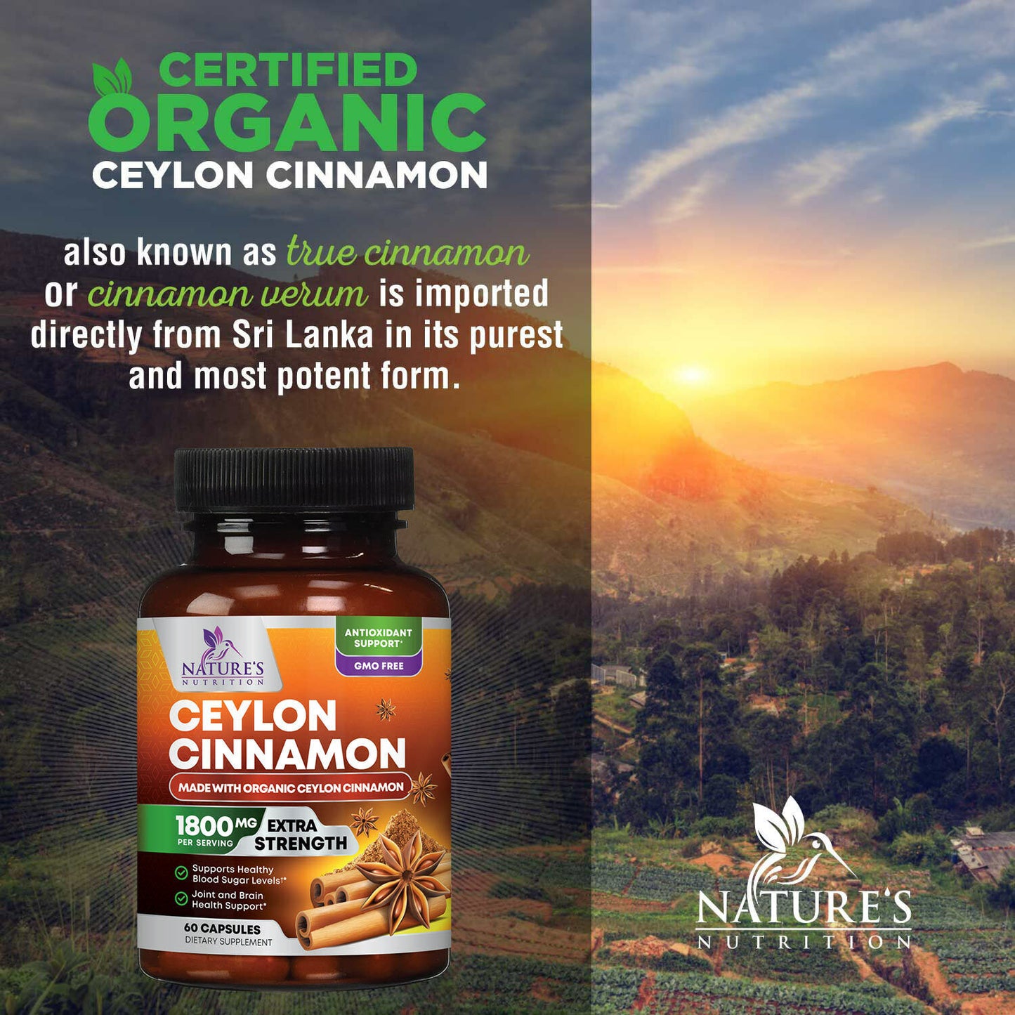 True Organic Ceylon Cinnamon Capsules 1800Mg Highest Potency Blood Sugar Support