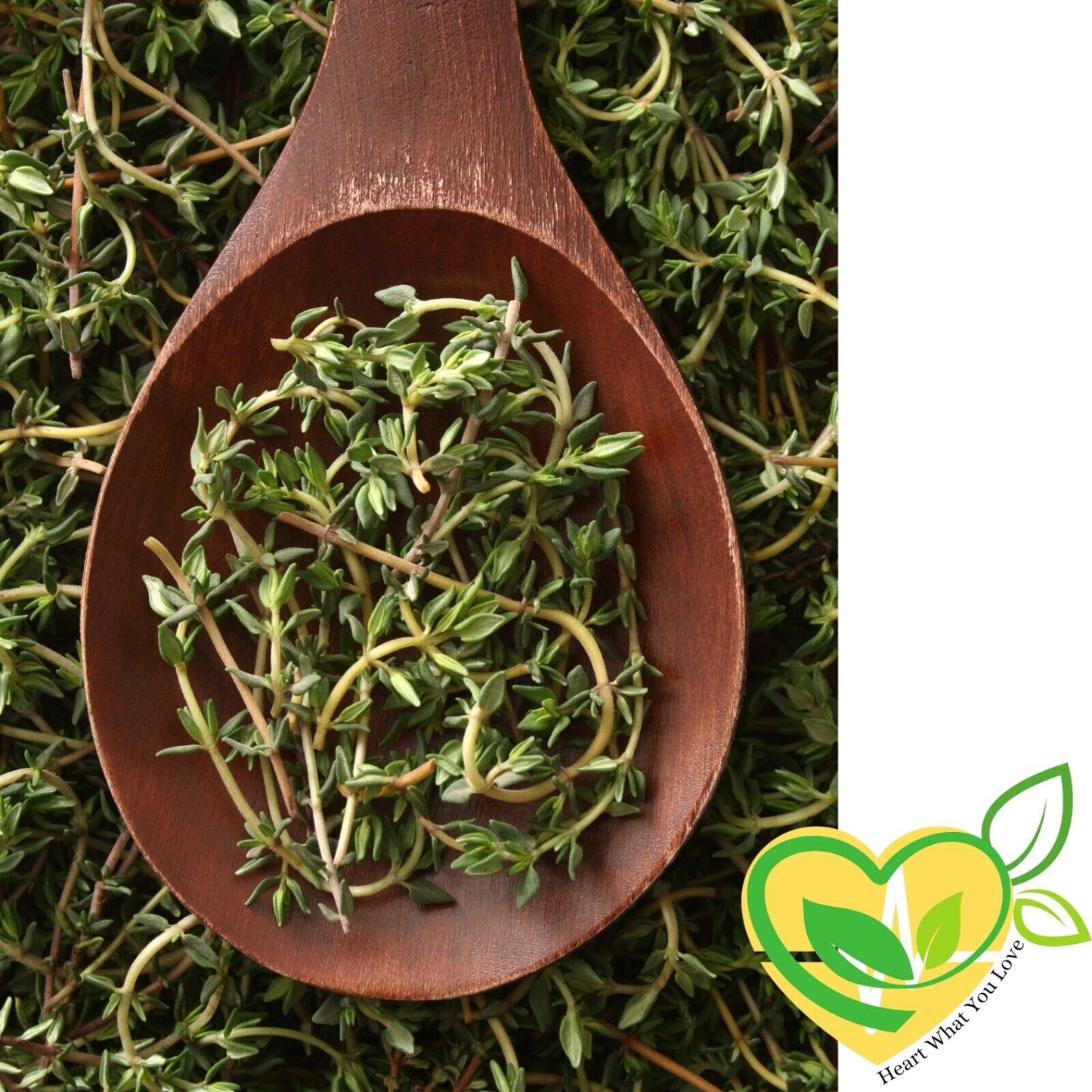 Thyme Leaf Natural Herb Organic Dried Cut 28.3G | 1 OZ Aromatic Medicinal Aid