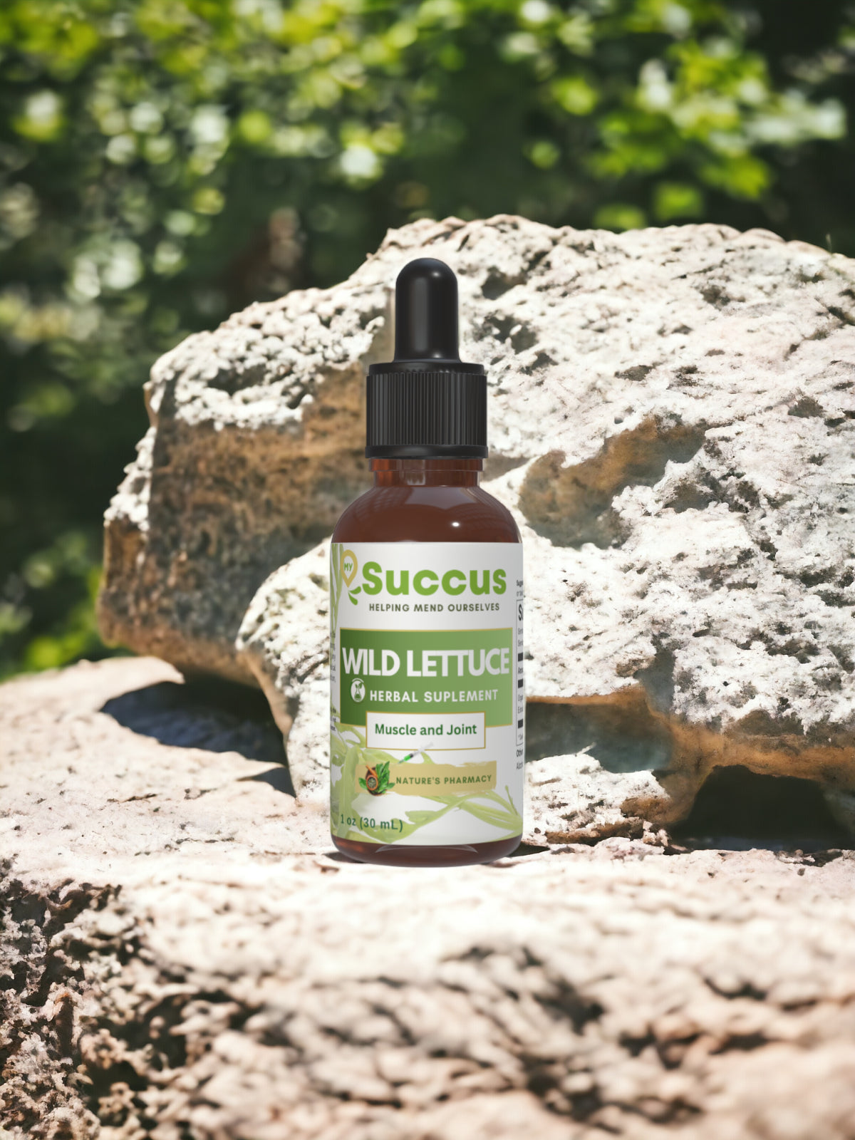 Wild Lettuce Tincture - (Potent) Alcohol Free