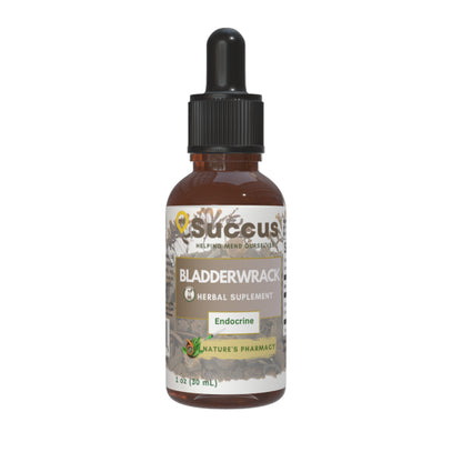 Bladderwrack Tincture - Endocrine System Support