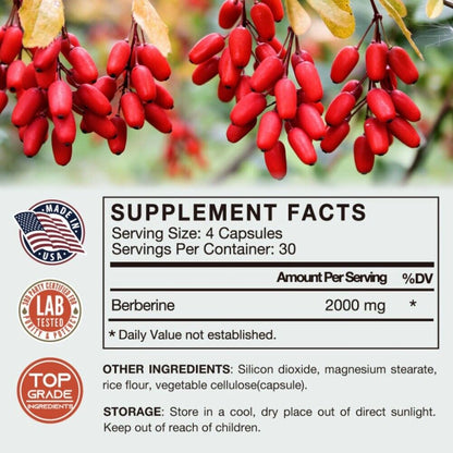 Berberine Supplement 2000Mg Daily, 10X Time Optimum Absorption Berberine HCL