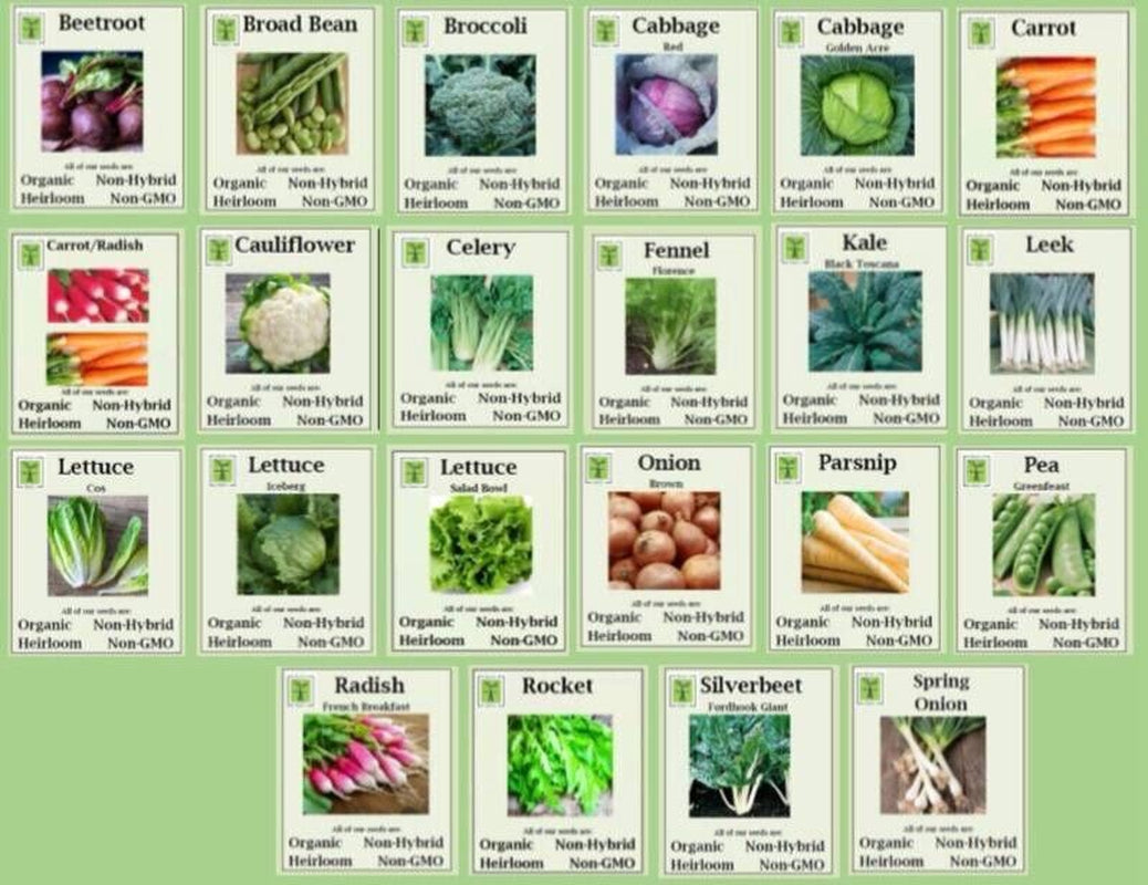 ORGANIC, NON-GMO, NON-HYRID, HEIRLOOM Vegetable Seeds - Autumn/Winter