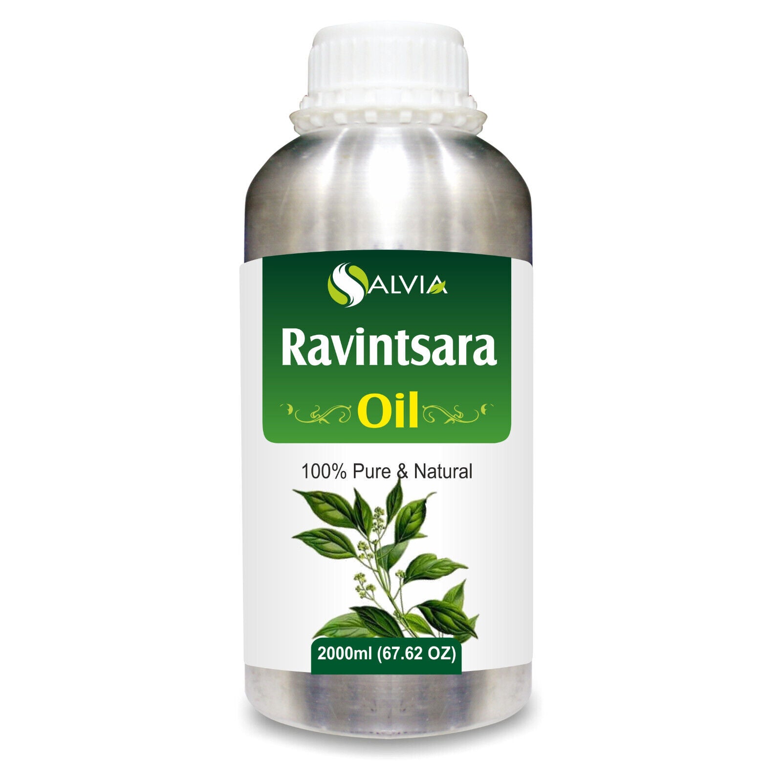 Ravintsara (Cinnamomum Camphora)100% Pure & Natural Essential Oil-[10Ml - 25 L].