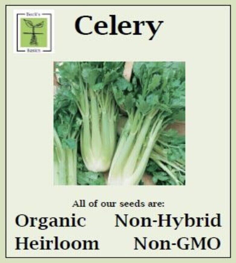 Celery Seeds - ORGANIC, NON-GMO, NON-HYRID, HEIRLOOM SEEDS