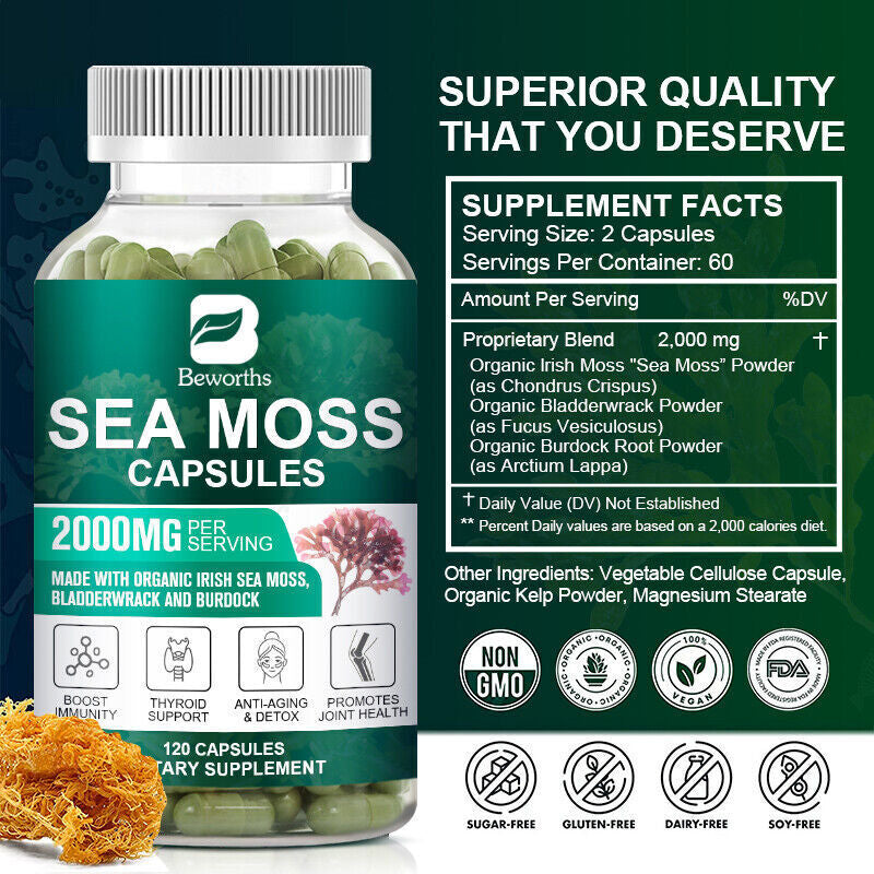 Organic Sea Moss Capsules, Irish Sea Moss, Bladderwrack & Burdock Root 120 Pills