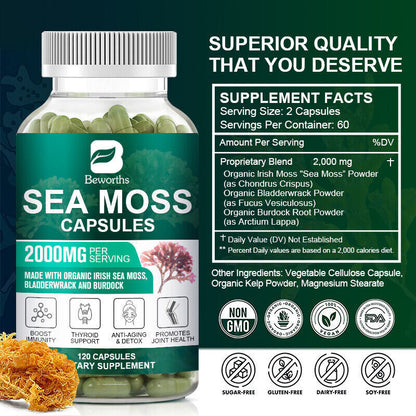 Organic Sea Moss Capsules, Irish Sea Moss, Bladderwrack & Burdock Root 120 Pills