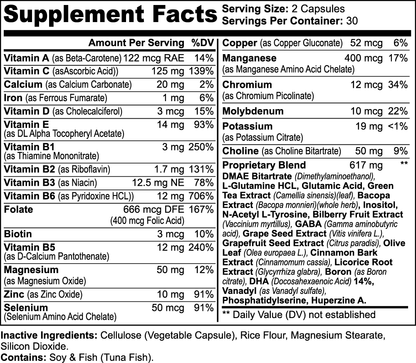 Focus, Memory, Mood Brain Formula