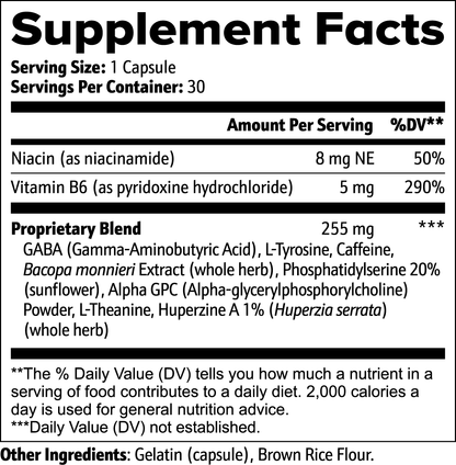 Cognitive and Brain Support