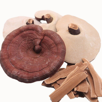 Reishi Mushroom 靈芝 영지버섯 - 1.0 Lbs - Ganoderma Lucidum, Japan Product