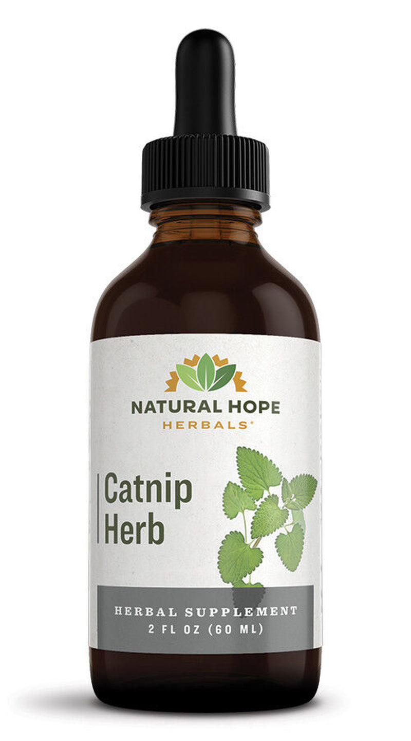 CATNIP HERB Single Herb Liquid Extract Tincture Made in USA