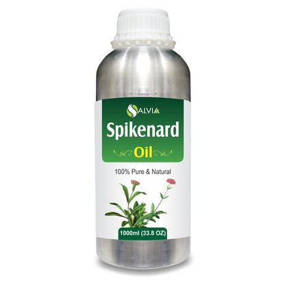 Spikenard Marigold (Nardostachys)