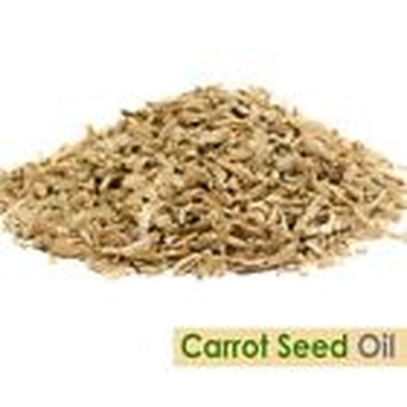 Carrot Seed (Daucus Carota L) 100% Pure & Natural Essential Oil - [10Ml-5000Ml]