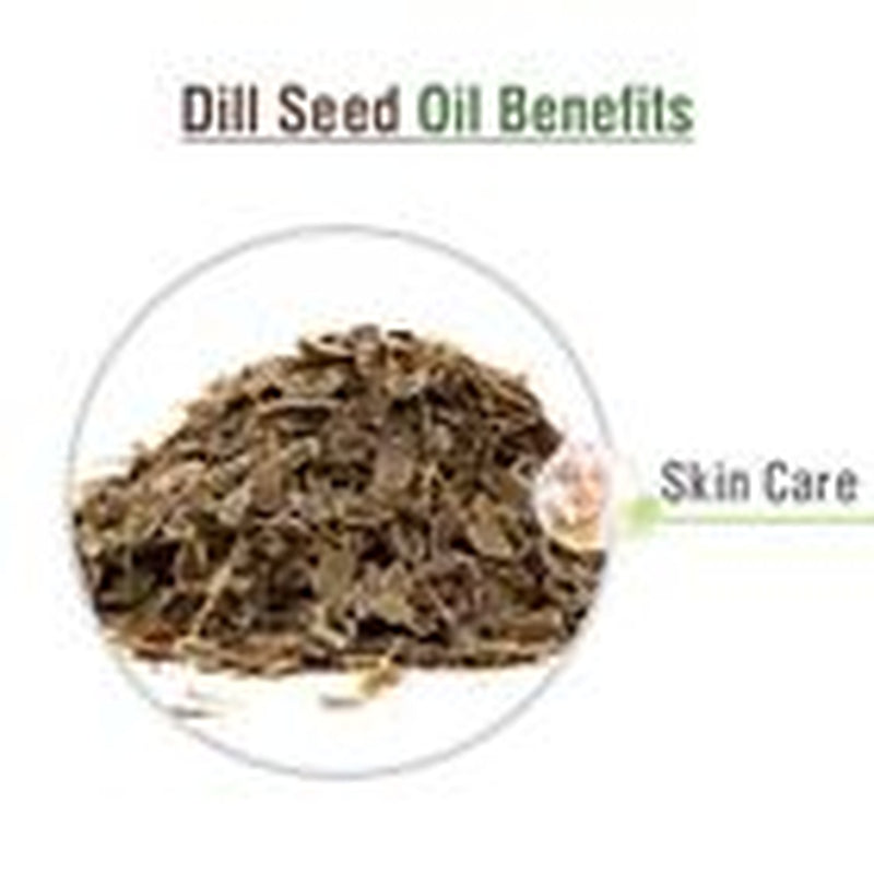 Dill Seed (Anethum Graveolens L) 100% Pure & Natural Essential Oil [10Ml-5000Ml]