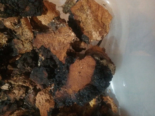 1 Pound ME Chaga Mushroom FREE SHIPPING!!