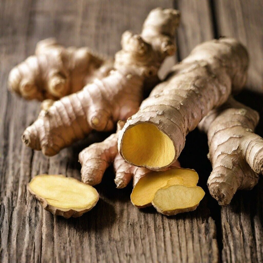 Ginger Extract Ginger Tincture (Zingiber Officinale) 