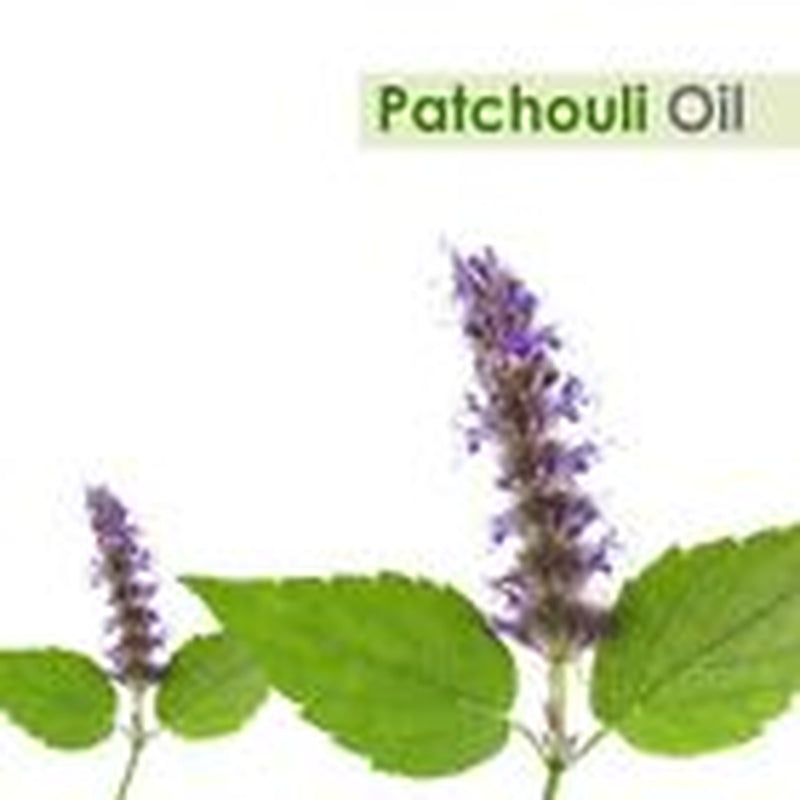 Patchouli (Pogostemon Cablin) 100% Pure & Natural Essential Oil - [10Ml - 25 L].