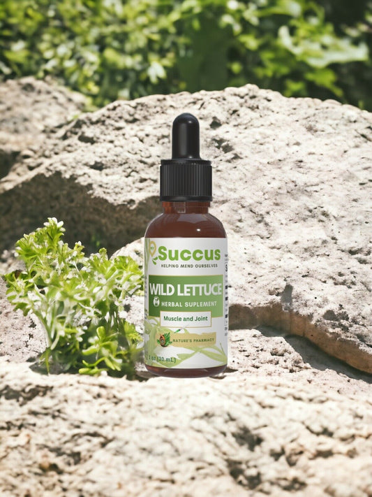 Wild Lettuce Tincture - (Potent) Alcohol Free