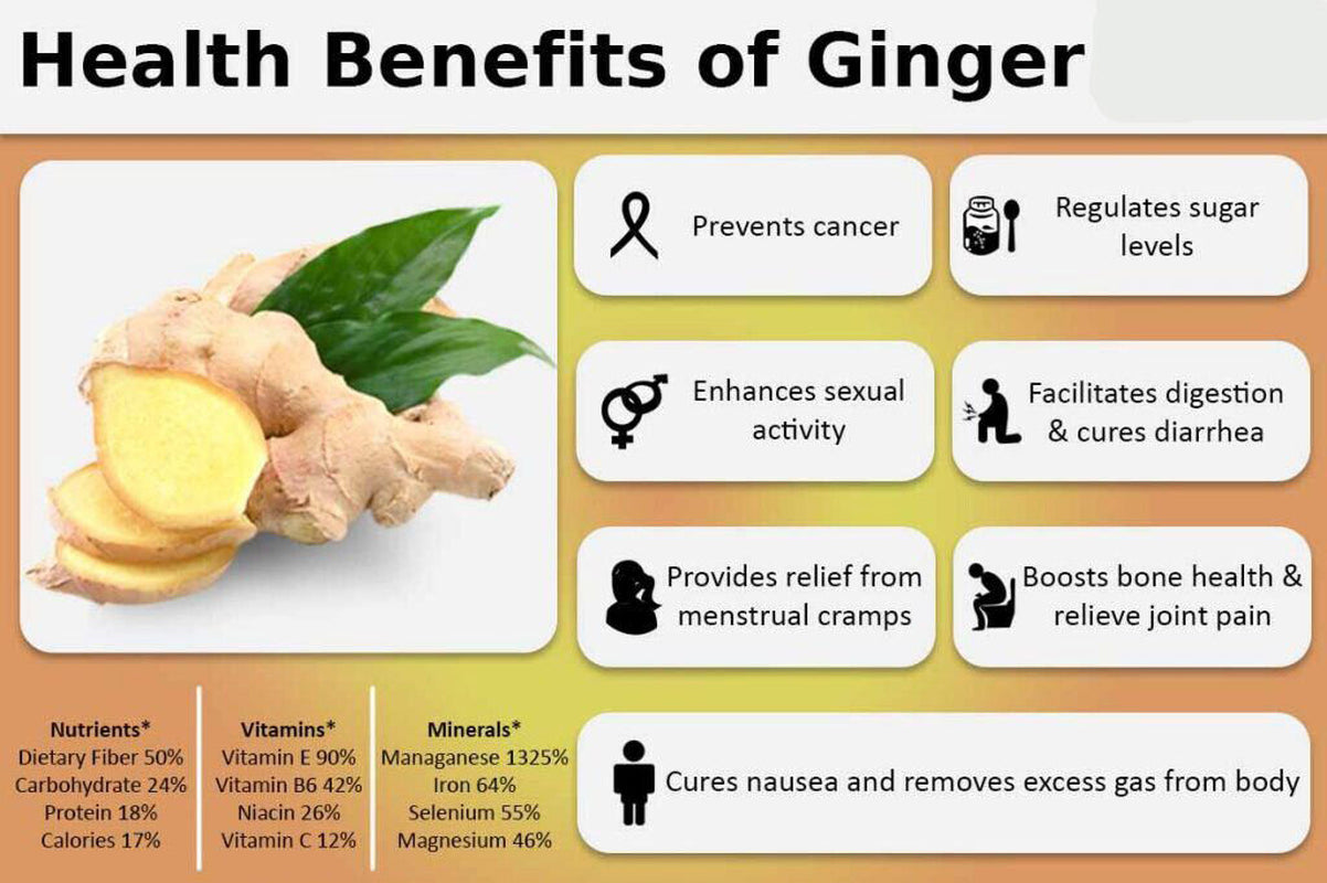 Organic Ginger Root Powder Capsules (Zingiber Officinale) Pure Fresh 600Mg