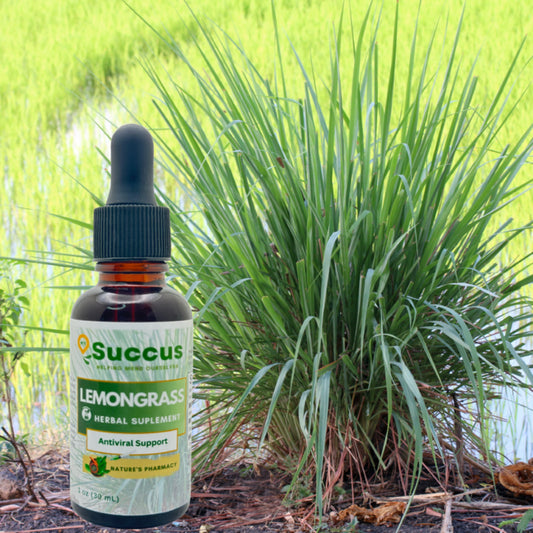 Lemongrass Tincture (Highly Potent) - Alcohol Free