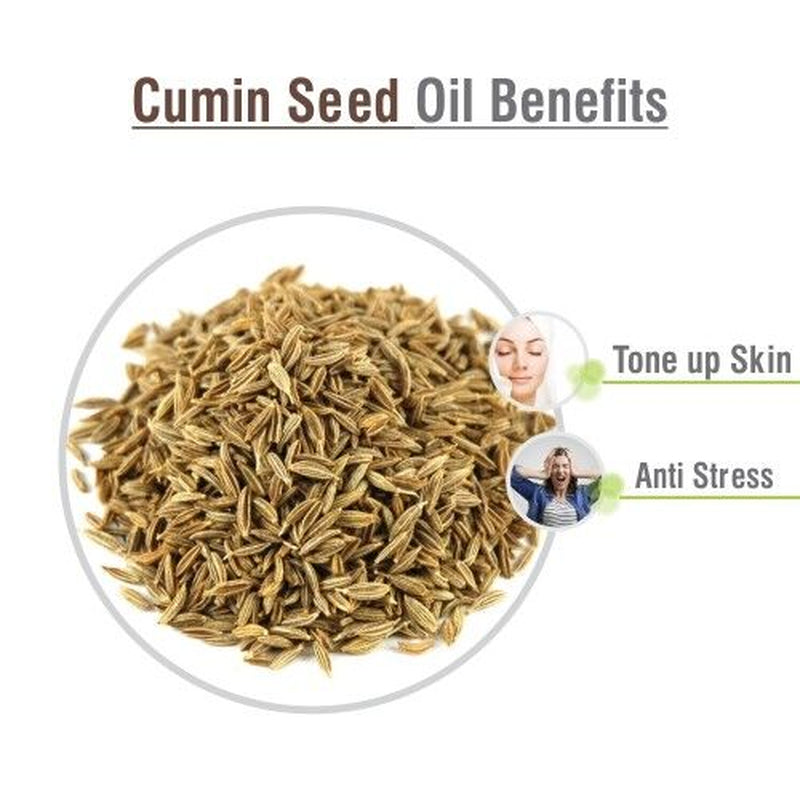 Cumin Seed (Cuminum Cyminum) 100% Pure & Natural Essential Oil - [10Ml - 25 L].