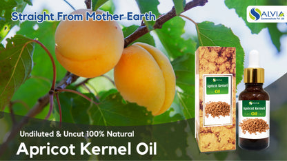 Apricot Kernel (Prunus Armeniaca) 100% Pure & Natural Carrier Oil -[10Ml-25L].