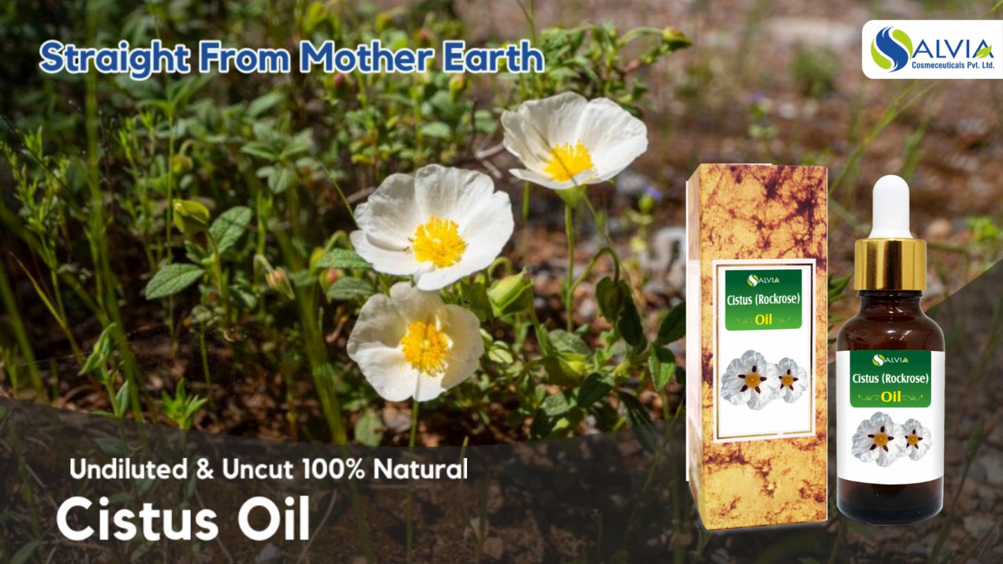 Cistus (Rockrose Cistus) 100% Pure & Natural Essential Oil - [10Ml-5000Ml].