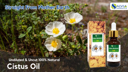 Cistus (Rockrose Cistus) 100% Pure & Natural Essential Oil - [10Ml-5000Ml].