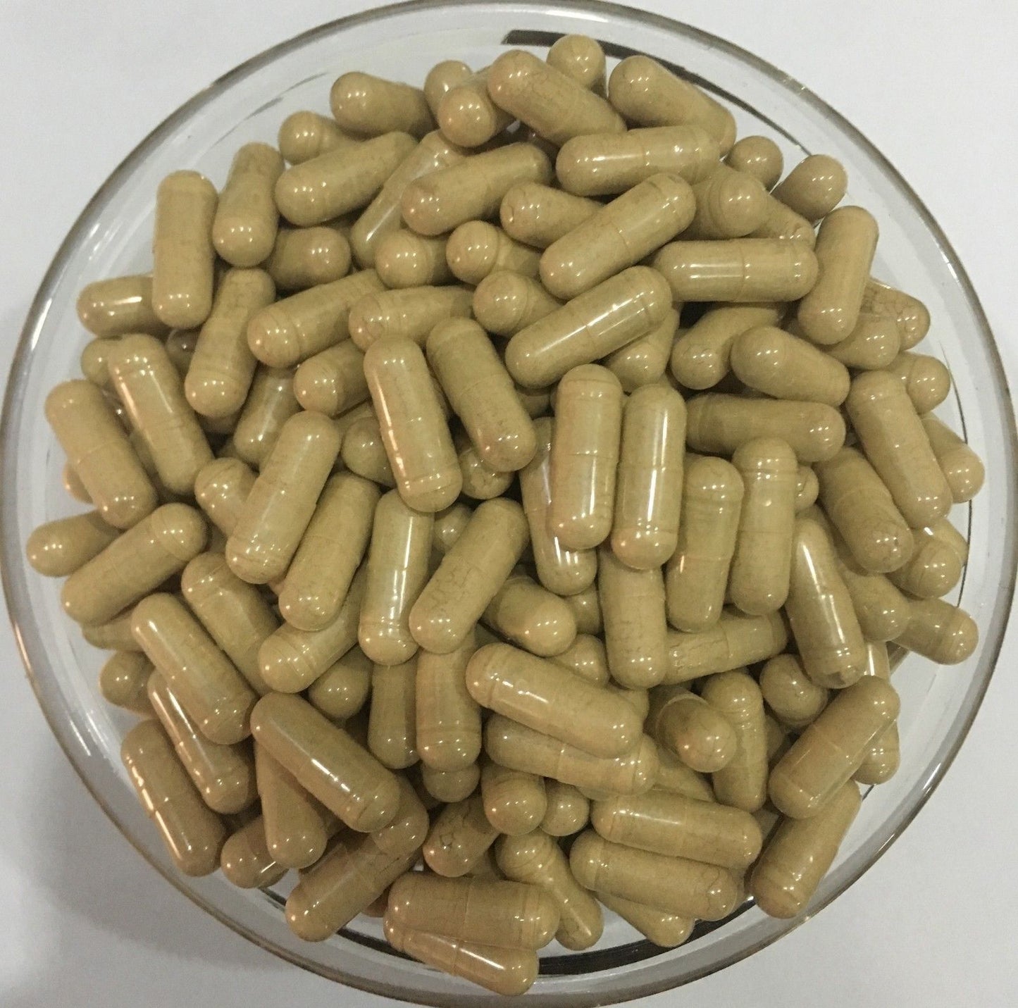 White Willow Bark Extract Capsules 15% Salicin Relief Joint and Muscles Pain